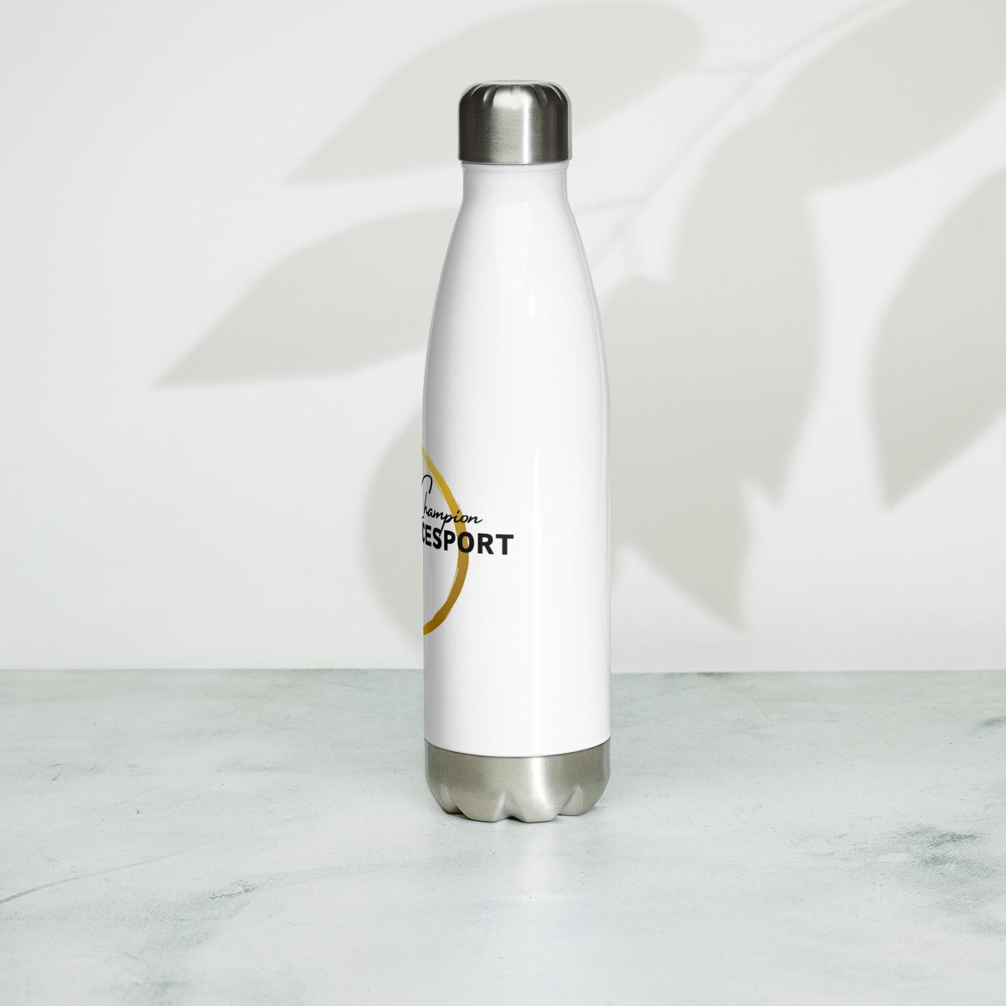 Stainless steel water bottle